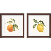 Framed 'Le Citron & Orange on Cream 2 Piece Framed Art Print Set' border=