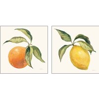 Framed Le Citron & Orange on Cream 2 Piece Art Print Set