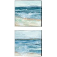 Framed Coastal 2 Piece Canvas Print Set