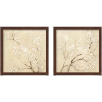 Framed White Cherry Blossoms 2 Piece Framed Art Print Set