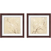 Framed White Cherry Blossoms 2 Piece Framed Art Print Set