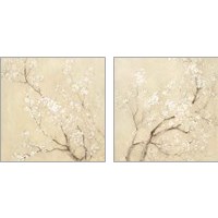 Framed White Cherry Blossoms 2 Piece Art Print Set