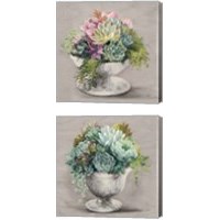 Framed 'Festive Succulents Gray 2 Piece Canvas Print Set' border=