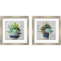 Framed 'Succulent Still Life Navy 2 Piece Framed Art Print Set' border=