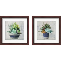 Framed 'Succulent Still Life Navy 2 Piece Framed Art Print Set' border=