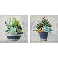 Framed Succulent Still Life Navy 2 Piece Art Print Set