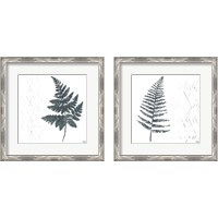 Framed 'Nordic Fern 2 Piece Framed Art Print Set' border=