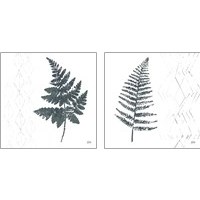 Framed Nordic Fern 2 Piece Art Print Set