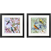 Framed 'Hummingbird Botanical 2 Piece Framed Art Print Set' border=