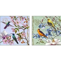 Framed 'Hummingbird Botanical 2 Piece Art Print Set' border=
