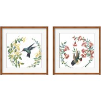 Framed 'Floral Hummingbirds 2 Piece Framed Art Print Set' border=