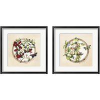 Framed Traditional Fruit 2 Piece Framed Art Print Set