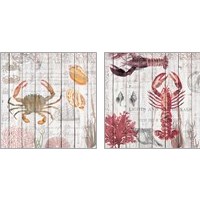 Framed 'Crabs on Driftwood Panel 2 Piece Art Print Set' border=