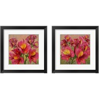 Framed Pink Orchid Bloom 2 Piece Framed Art Print Set