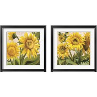 Framed 'Sunflower Surprise 2 Piece Framed Art Print Set' border=