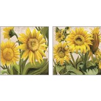 Framed 'Sunflower Surprise 2 Piece Art Print Set' border=