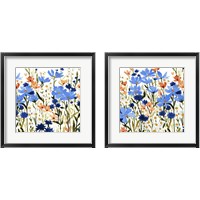 Framed 'Bright Wildflower Medley 2 Piece Framed Art Print Set' border=