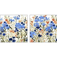 Framed 'Bright Wildflower Medley 2 Piece Art Print Set' border=