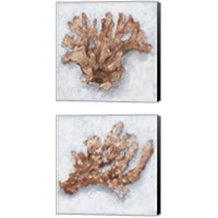 Framed Coral Display 2 Piece Canvas Print Set