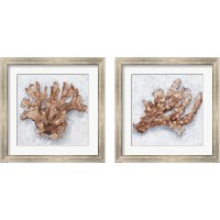 Framed Coral Display 2 Piece Framed Art Print Set