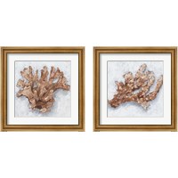 Framed 'Coral Display 2 Piece Framed Art Print Set' border=