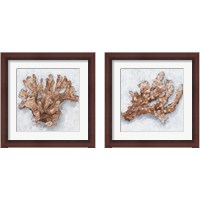 Framed 'Coral Display 2 Piece Framed Art Print Set' border=