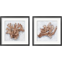 Framed Coral Display 2 Piece Framed Art Print Set