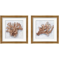 Framed 'Coral Display 2 Piece Framed Art Print Set' border=