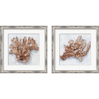 Framed 'Coral Display 2 Piece Framed Art Print Set' border=