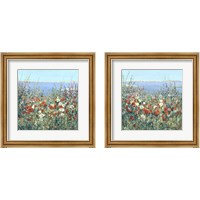 Framed 'Seaside Garden 2 Piece Framed Art Print Set' border=