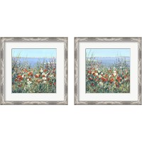 Framed 'Seaside Garden 2 Piece Framed Art Print Set' border=