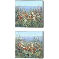 Framed 'Seaside Garden 2 Piece Canvas Print Set' border=