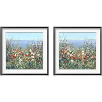 Framed 'Seaside Garden 2 Piece Framed Art Print Set' border=