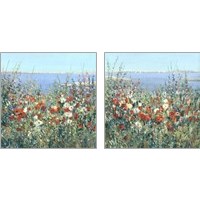 Framed 'Seaside Garden 2 Piece Art Print Set' border=