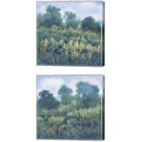 Framed Meadow Wildflowers 2 Piece Canvas Print Set