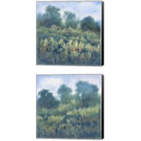 Framed 'Meadow Wildflowers 2 Piece Canvas Print Set' border=