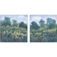 Framed Meadow Wildflowers 2 Piece Art Print Set