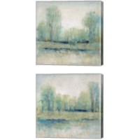 Framed Seclusion  2 Piece Canvas Print Set