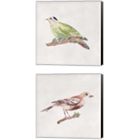 Framed Bird Sketch 2 Piece Canvas Print Set