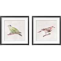 Framed 'Bird Sketch 2 Piece Framed Art Print Set' border=