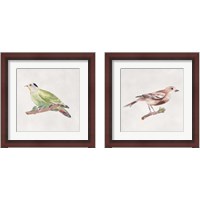 Framed Bird Sketch 2 Piece Framed Art Print Set