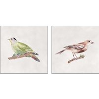 Framed 'Bird Sketch 2 Piece Art Print Set' border=