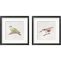 Framed Bird Sketch 2 Piece Framed Art Print Set