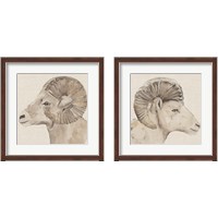 Framed 'Bighorn Profile 2 Piece Framed Art Print Set' border=