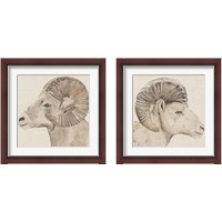 Framed 'Bighorn Profile 2 Piece Framed Art Print Set' border=