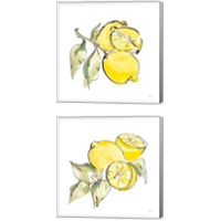 Framed 'Lemon Still Life 2 Piece Canvas Print Set' border=