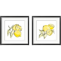 Framed Lemon Still Life 2 Piece Framed Art Print Set