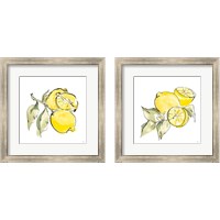 Framed Lemon Still Life 2 Piece Framed Art Print Set