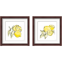 Framed 'Lemon Still Life 2 Piece Framed Art Print Set' border=