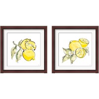 Framed Lemon Still Life 2 Piece Framed Art Print Set